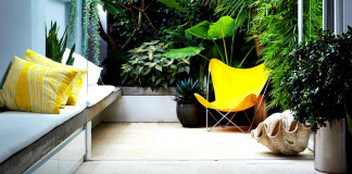 Zöld-paradicsom tenyérnyi helyen