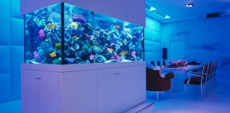 A 20 legszebb akvárium – válogatás a világ minden tájáról
