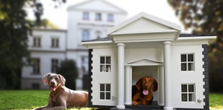 A legelőkelőbb kutyaházak – igazi luxus kedvenceinknek!