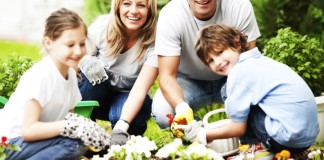 Kertészkedj közösen! – Városi közkertek