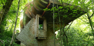 Otthon az erdő mélyén – a legszebb lombházak