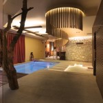 wellness1