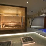 wellness7