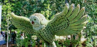 A kertészkedés művészete: az elképesztő bokorszobrászat!