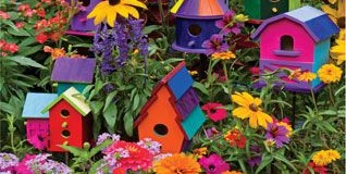 Csodálatos madárházak kertünk csicsergő vendégeinek!