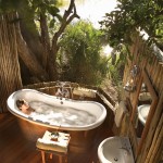 bathroom2