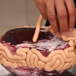 Agy torta