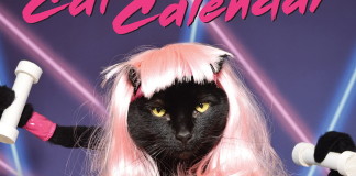 Macska naptár? Itt a világ legjobbja 2016-ra! macska naptár