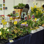 GardenExpo és Orchidea Ünnep