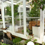 GardenExpo és Orchidea Ünnep