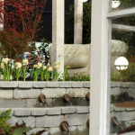 GardenExpo és Orchidea Ünnep