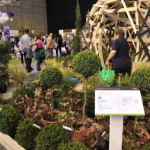 GardenExpo és Orchidea Ünnep