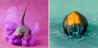 A gyümölcsök és zöldségek színes kis titkai gyümölcsök és zöldségek titkos élete