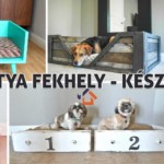 kutya fekhely