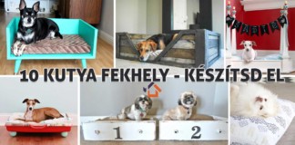 10 kutya fekhely amit könnyen elkészíthetsz kutya fekhely