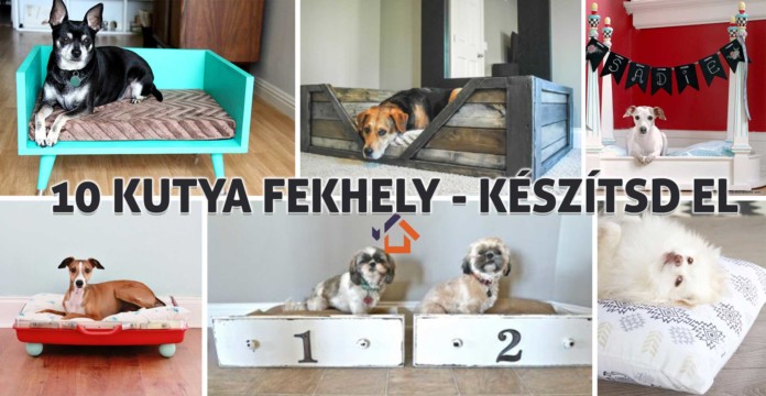 kutya fekhely