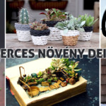 növény dekoráció – virág dekoráció