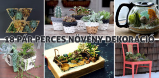 18 aranyos beltéri növény dekoráció egész évre növény dekoráció - virág dekoráció