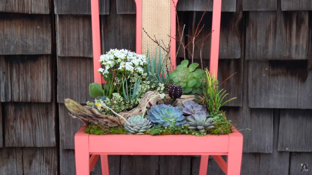 szék virág ágyás, tartó és növény dekoráció