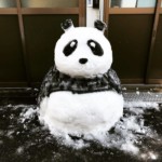 hófigura – hóember panda