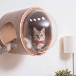 design macska ház – cica